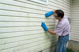 Best Siding Painting and Refinishing  in Haymarket, VA